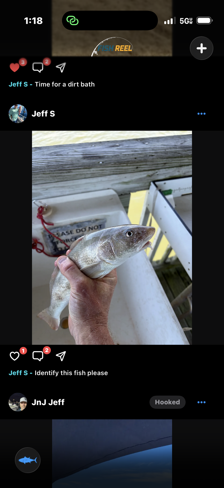FishReel feed screen showing a posted catch with likes, comments, and a Hook 'em follow button