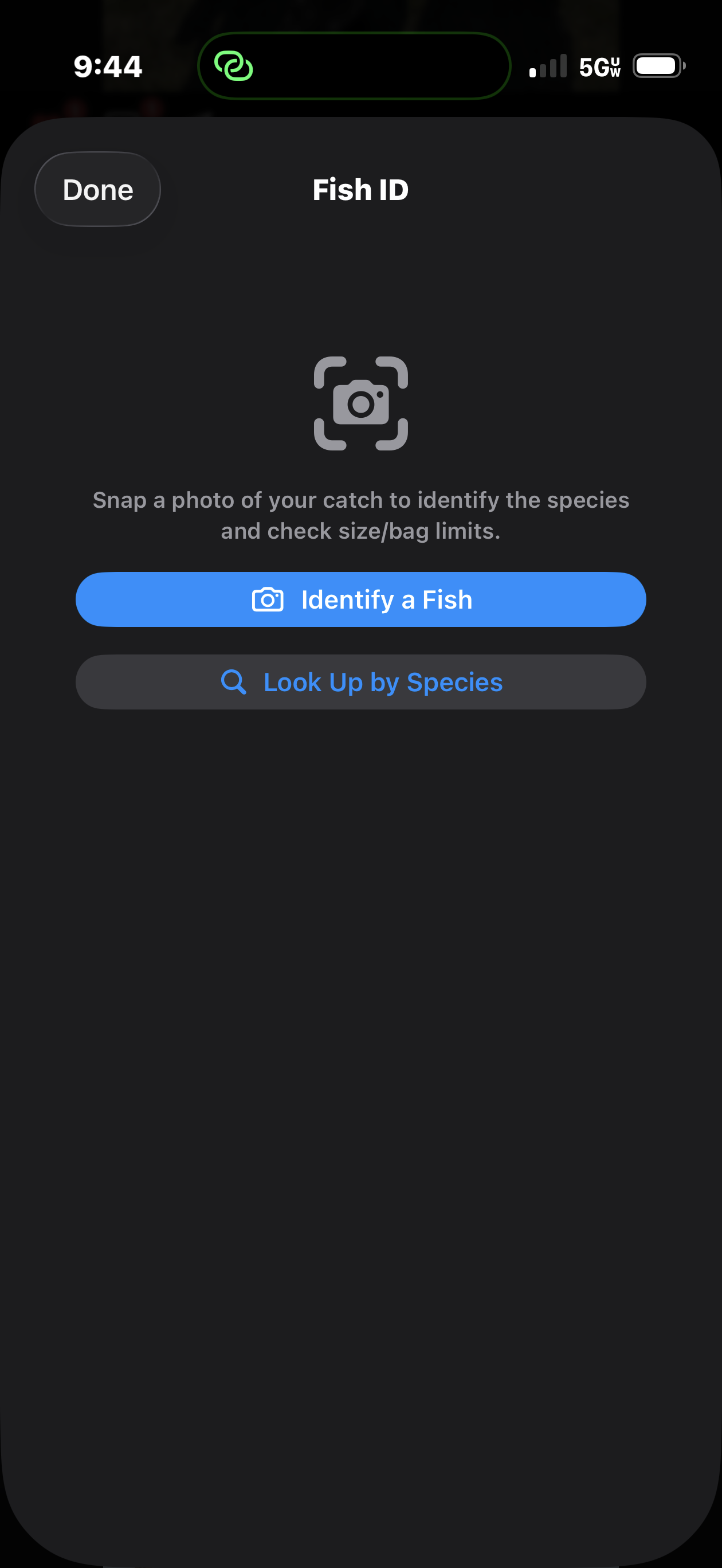 FishReel Fish ID screen with buttons to identify a fish by photo or look up regulations by species